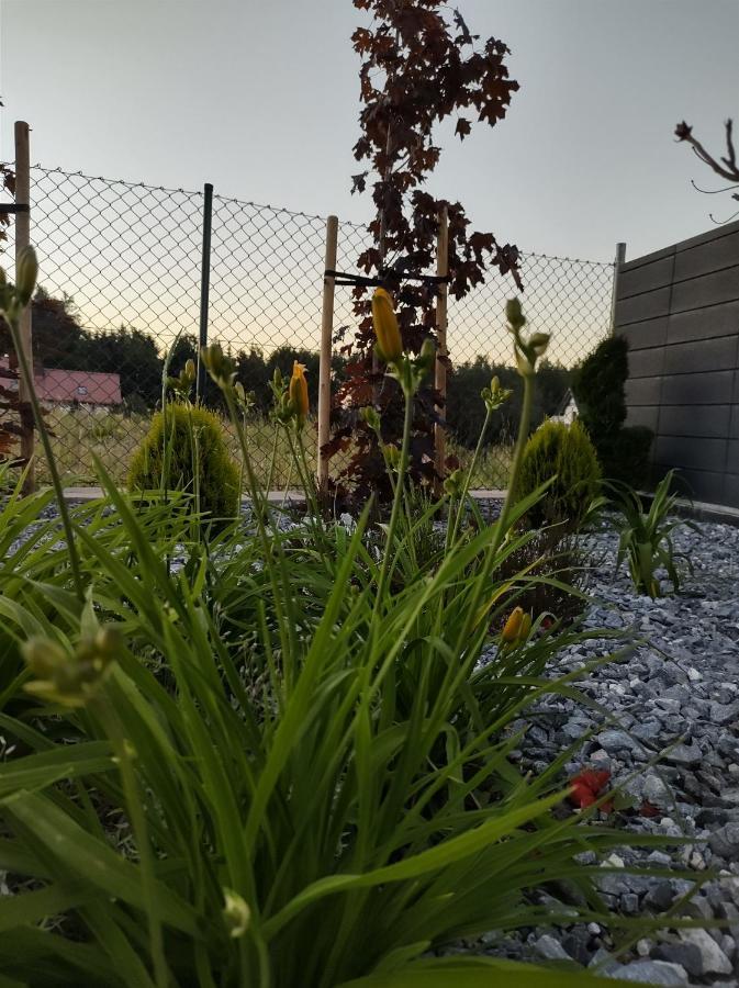 Apartament Nadziei Chmielno Bagian luar foto